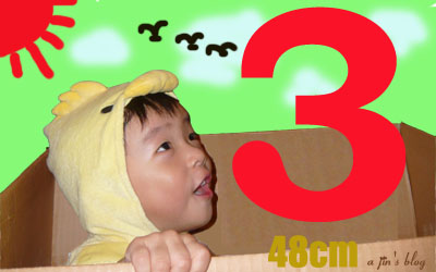 48cm Jin�T���y���S�Obanner