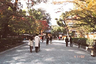 �����b���դ���