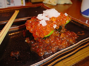 ���߸رi�إq