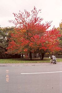 �_�j�̬�������