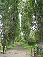 �ҵP�G�վ�ä�