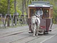 �u�~�줣�o�F�������K�D