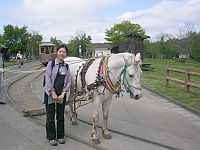 ���W��I���J�I