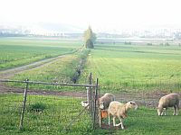 �Ϥ��C�u�Y���Ϭ[�A���B�Y���EDome