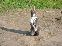 �i���U�ڳ�I�ڭ��Y���͡A�Y��H���Y�׷i�A�R����ڭ��[�ߥJ���[�Q�I