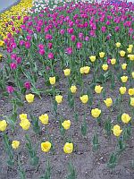 �O���̦h�N�Y�{����