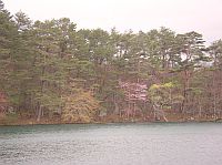 �B�����h�h