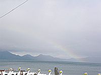 �B�ᶧ���A���m�i�r�I