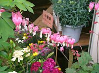 �ߧΪ�A�n�o�N�{�I