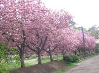 ���t�Ҫ��@�䪺����