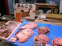 �@pat pat劏�}����鮟鱇��