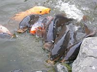 �j����{�u���U��