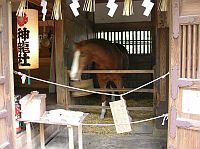 �������s��