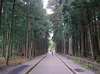 ���ɦx�e���ѹD�Ad��S�h�S�j�S���r