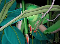 �H�j�a���D���]�m