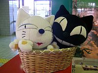 �s��������������\�]