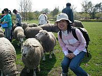 �ϫ��A�nڻ�S�n�ϡA���L�L�U�}�N���C