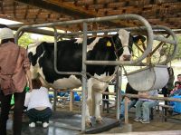 �n�j�����A�ש󪾹D���s" �j���t"