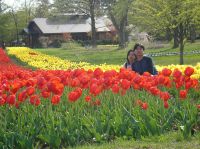 cut��谦�A�v�i���˪��۩�ӥ��I