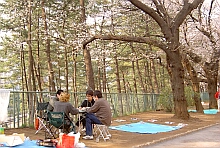 �Ϥ����ѡG�촼�l�p�j