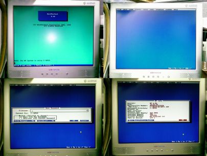 ���Ϭݤj�e��